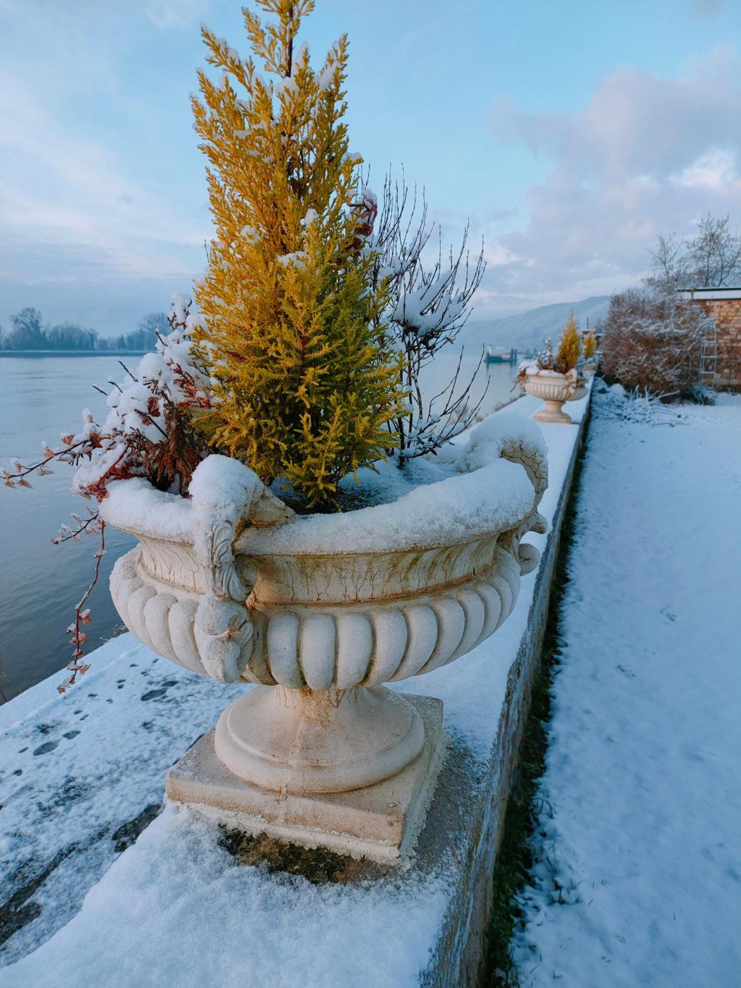 Demeure En Seine - Gites Et Chambres D'Hote En Bord De Seine Caudebec-en-Caux Cameră foto